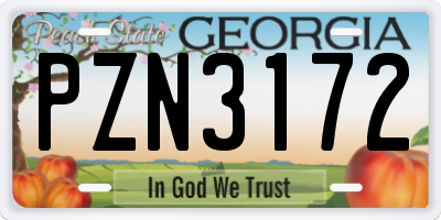 GA license plate PZN3172
