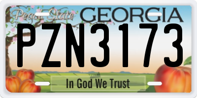 GA license plate PZN3173