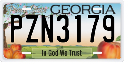 GA license plate PZN3179