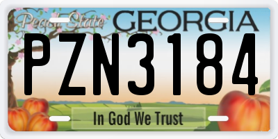 GA license plate PZN3184