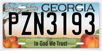 GA license plate PZN3193