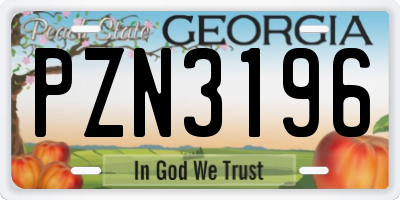 GA license plate PZN3196