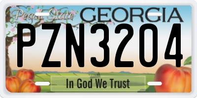 GA license plate PZN3204