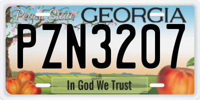 GA license plate PZN3207