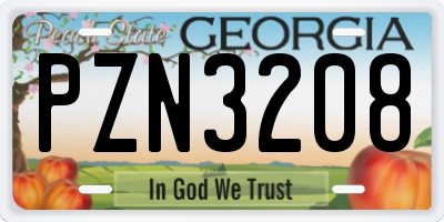 GA license plate PZN3208