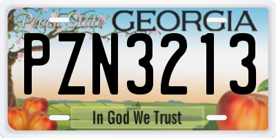 GA license plate PZN3213