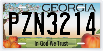 GA license plate PZN3214