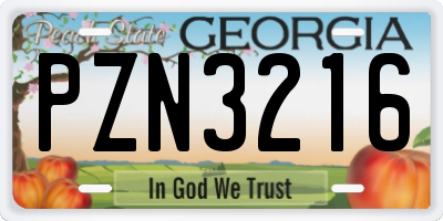 GA license plate PZN3216