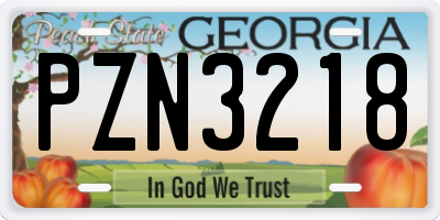 GA license plate PZN3218