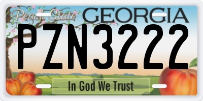 GA license plate PZN3222