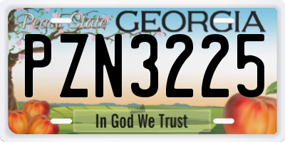 GA license plate PZN3225