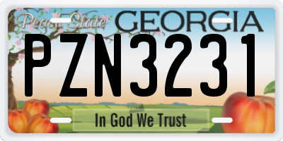 GA license plate PZN3231