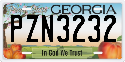 GA license plate PZN3232