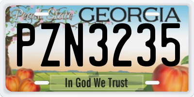 GA license plate PZN3235