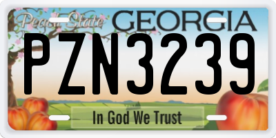GA license plate PZN3239
