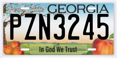 GA license plate PZN3245