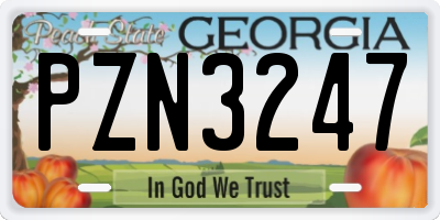 GA license plate PZN3247