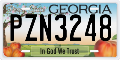 GA license plate PZN3248