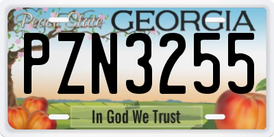 GA license plate PZN3255