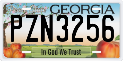 GA license plate PZN3256