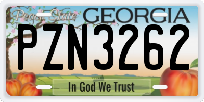GA license plate PZN3262