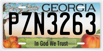 GA license plate PZN3263