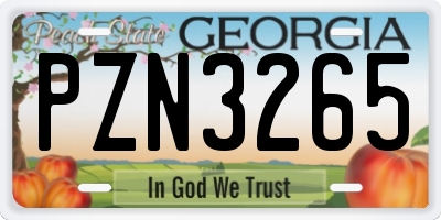 GA license plate PZN3265