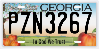 GA license plate PZN3267