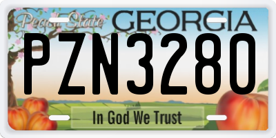 GA license plate PZN3280