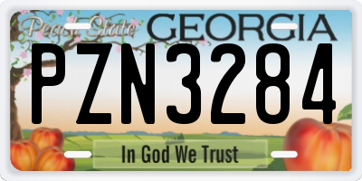 GA license plate PZN3284