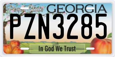 GA license plate PZN3285