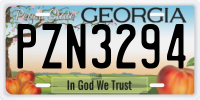 GA license plate PZN3294