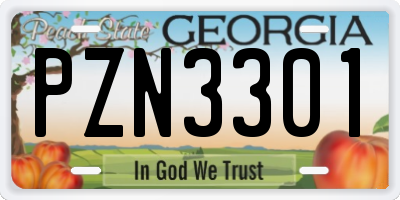 GA license plate PZN3301