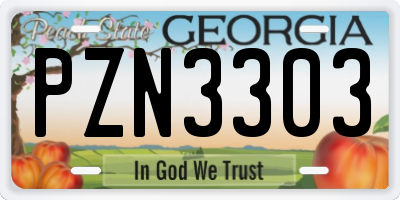 GA license plate PZN3303