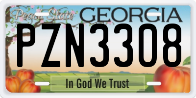 GA license plate PZN3308
