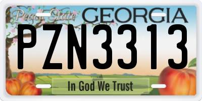GA license plate PZN3313