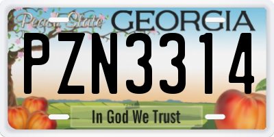 GA license plate PZN3314