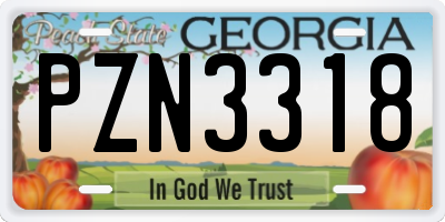 GA license plate PZN3318