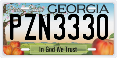 GA license plate PZN3330