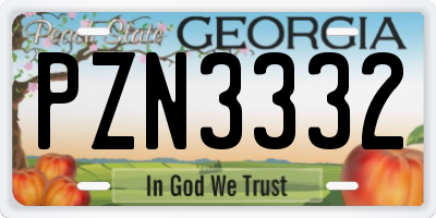 GA license plate PZN3332