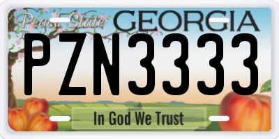 GA license plate PZN3333