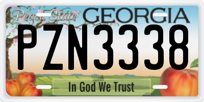 GA license plate PZN3338