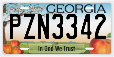 GA license plate PZN3342