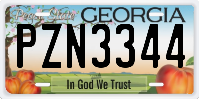 GA license plate PZN3344