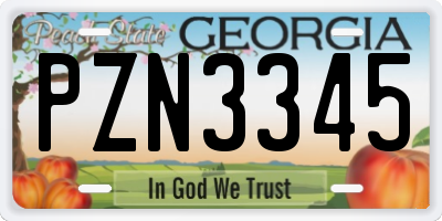 GA license plate PZN3345