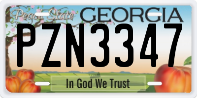 GA license plate PZN3347