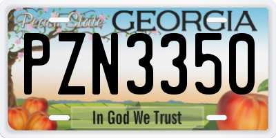 GA license plate PZN3350