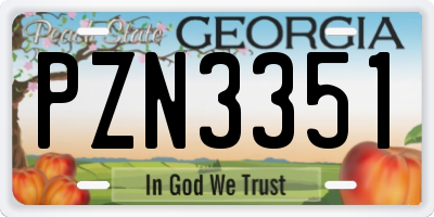 GA license plate PZN3351