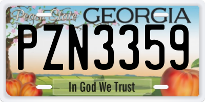 GA license plate PZN3359