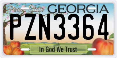 GA license plate PZN3364